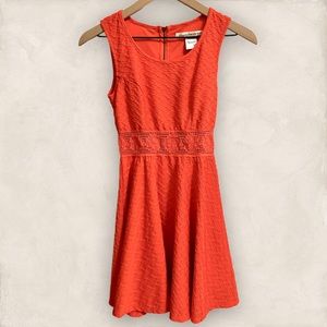 American Rag coral lace crochet accent dress XS EUC